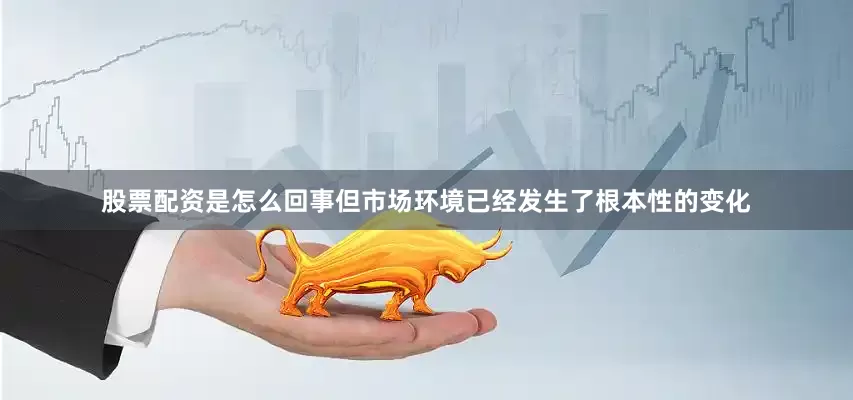 股票配资是怎么回事但市场环境已经发生了根本性的变化