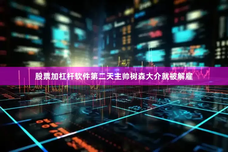 股票加杠杆软件第二天主帅树森大介就被解雇