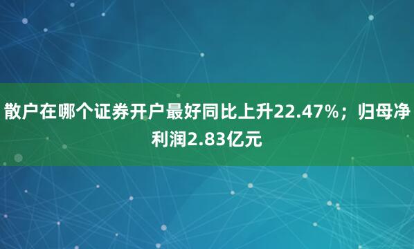 散户在哪个证券开户最好同比上升22.47%;归母净利润2.83亿元