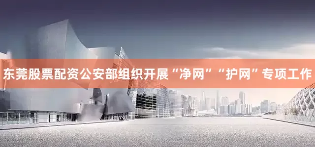 东莞股票配资公安部组织开展“净网”“护网”专项工作